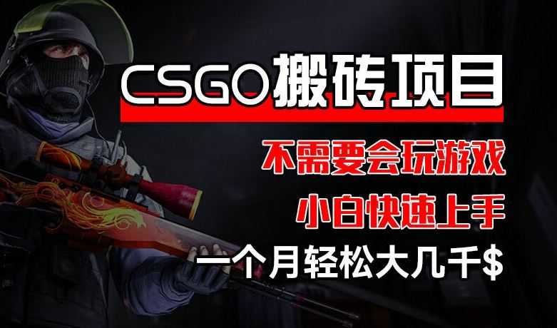 CSGO装备搬砖项目操作简单，小白快速上手月入几千-无双副业