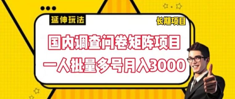 国内调查问卷矩阵项目，批量操作月入3000元-无双副业
