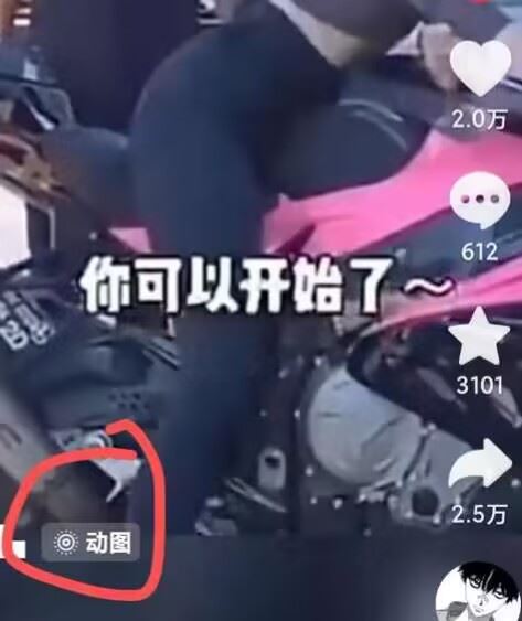 苹果手机动图搬运技术详解