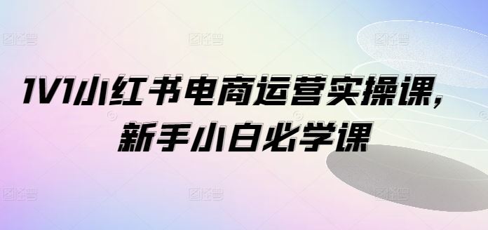 小红书电商运营实操指南，新手必学课程-无双副业