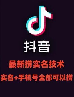 抖音实名与手机号解封技术，直播封禁快速释放方案-无双副业
