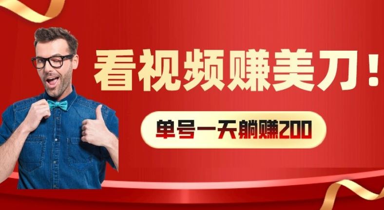 在线观看视频赚取美元，多账号操作提升收益-无双副业