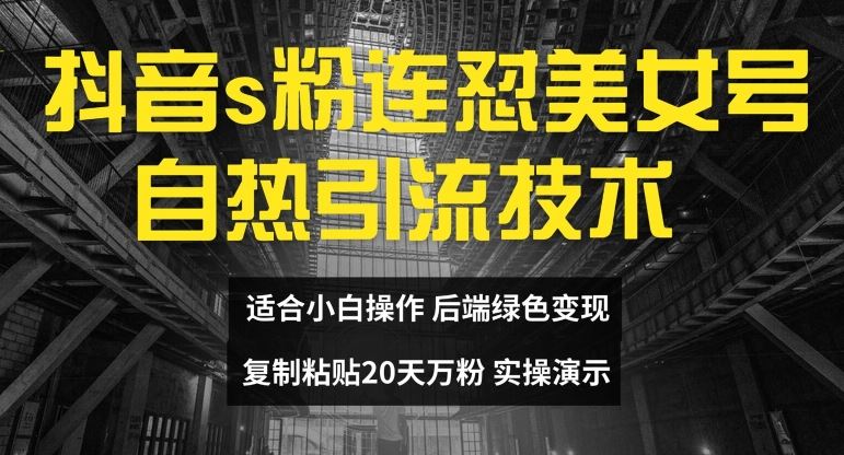抖音美女号自热引流技术，20天打造万粉账号，矩阵操作揭秘-无双副业