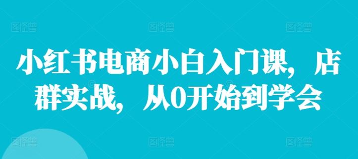 小红书电商从0到1实战指南，店群运营全攻略-无双副业