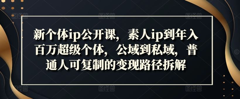 素人IP打造与年入百万的变现路径全解析-无双副业