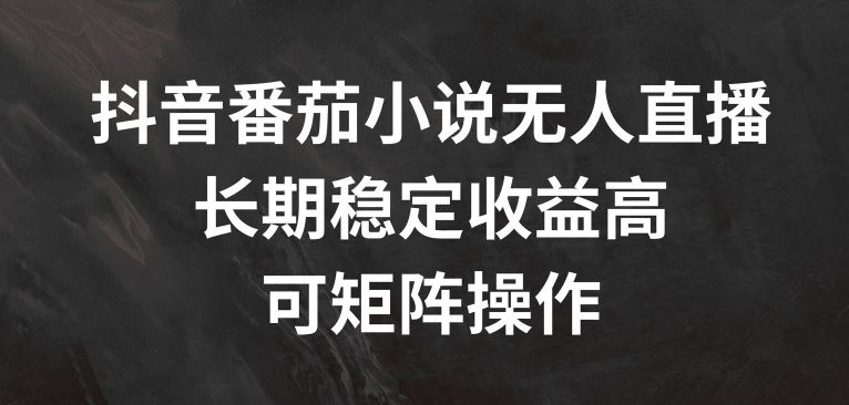 抖音番茄小说无人直播项目，稳定收益可矩阵操作-无双副业