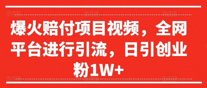 爆火赔付项目视频引流技巧，日引创业粉过万-无双副业