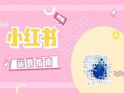 小红书运营实战经验分享，助你快速提升账号表现-无双副业