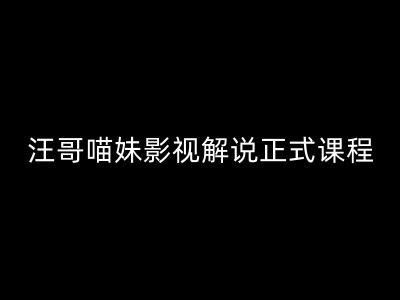 汪哥影视解说课程：剪映PR教学与剪辑黄金法则-无双副业