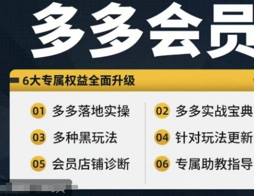 拼多多实战宝典与落地实操，从新手到高阶全面指南-无双副业