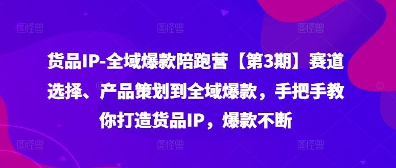 货品IP全域爆款陪跑营：从赛道选择到爆款打造-无双副业