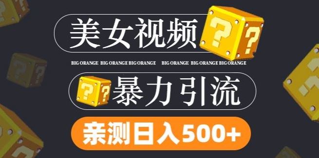 搬运外网美女视频轻松引流变现，日引300+粉丝不封号-无双副业