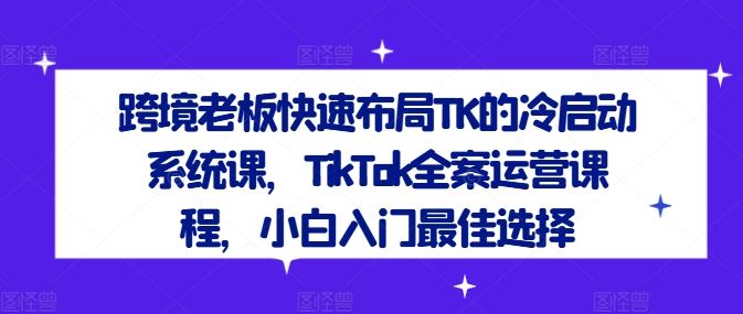 TikTok全案运营课程：跨境老板冷启动与全域流量布局指南-无双副业