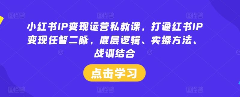 小红书IP变现运营私教课，打通变现底层逻辑与实操方法-无双副业