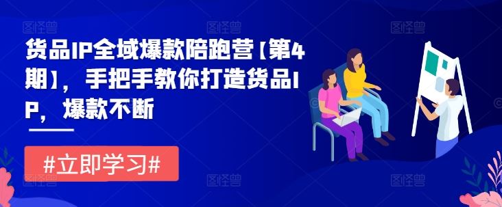 手把手教你打造货品IP，实现全域爆款-无双副业