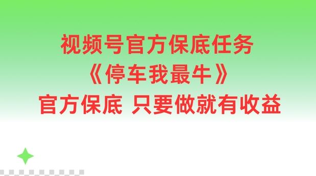 视频号官方保底任务揭秘，参与即享收益-无双副业
