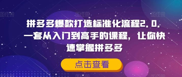 拼多多爆款打造标准化流程2.0，从入门到高手-无双副业