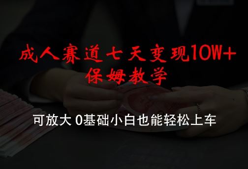 成人赛道快速变现10万+教学，零基础也能轻松上手-无双副业