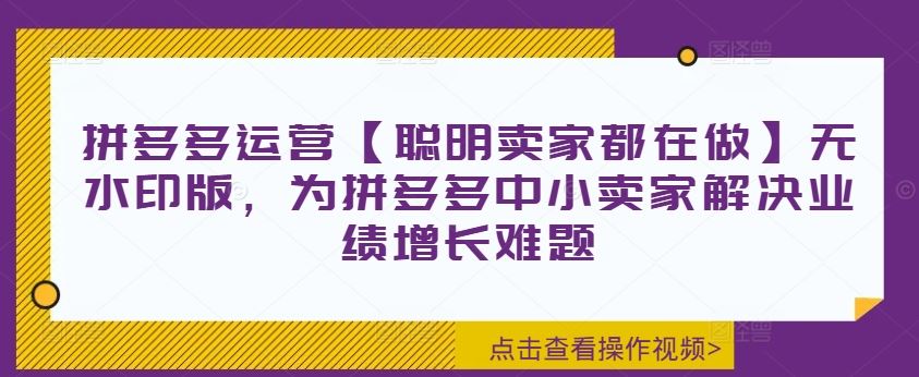 拼多多运营策略与技巧，助力中小卖家业绩增长-无双副业