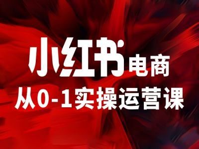 小红书电商运营全攻略，从小白到精英的实操指南-无双副业