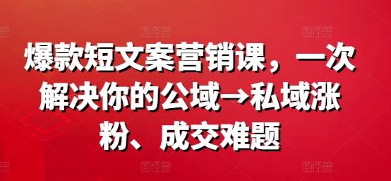 爆款短文案营销课：公域到私域涨粉与成交解决方案-无双副业