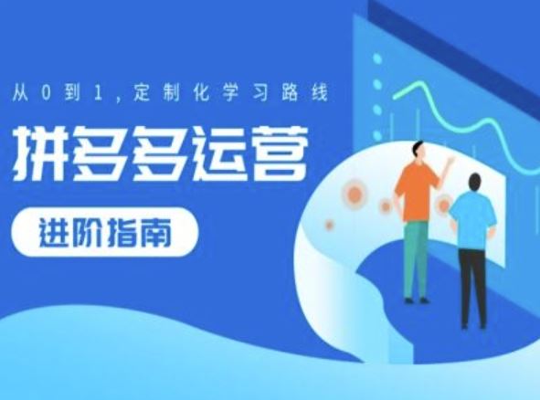 拼多多运营从入门到精通定制化学习路线-无双副业
