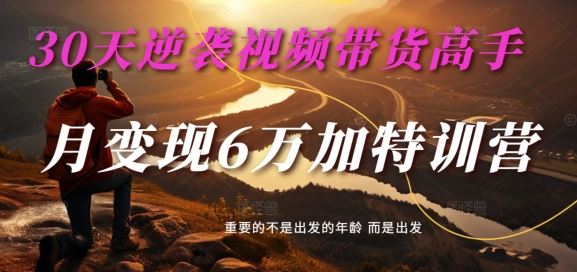 30天成为视频带货高手，单月变现6万特训营-无双副业
