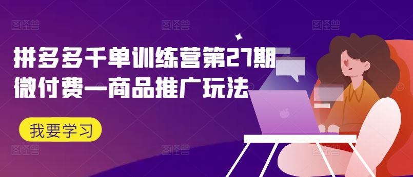 拼多多商品推广微付费实操与爆款玩法-无双副业