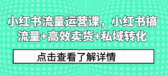 小红书流量运营与高效卖货私域转化课程-无双副业