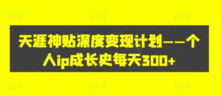 个人IP成长与深度变现策略，日赚300+实战指南-无双副业