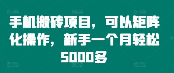 手机搬砖项目矩阵化操作，新手月入5000+-无双副业