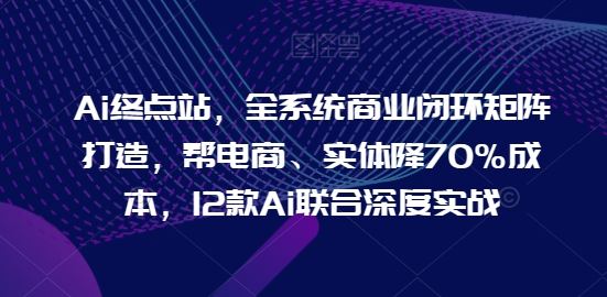 全系统商业闭环矩阵打造，帮电商实体降70%成本，12款Ai深度实战-无双副业