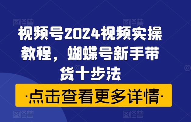 蝴蝶号新手带货十步法实操教程-无双副业