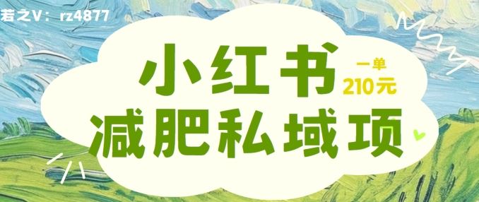 小红书减肥粉私域变现项目，单笔收入210元，新手轻松上手-无双副业