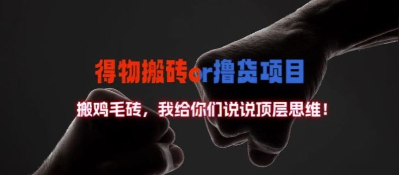 得物搬砖撸货项目顶层思维揭秘-无双副业
