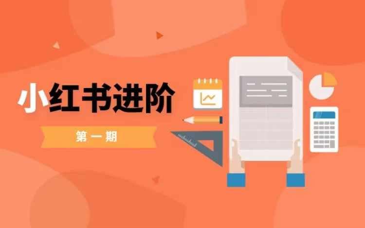 零基础小白实战课：小红书变现全攻略-无双副业