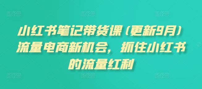 小红书笔记带货课：抓住流量电商新机会-无双副业