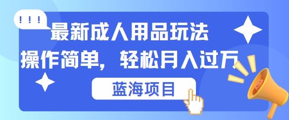 成人用品项目玩法揭秘，轻松实现日入几张-无双副业