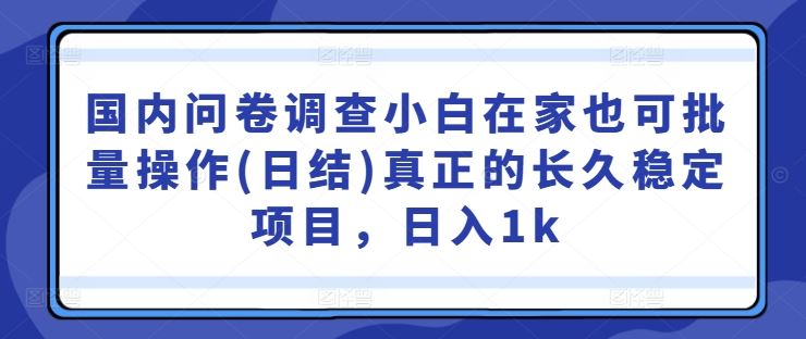 在家操作国内问卷调查项目，日入1k的稳定方法-无双副业