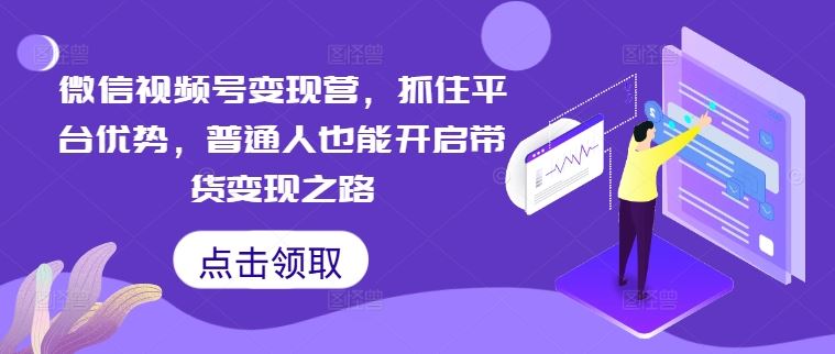 微信视频号变现指南：普通人如何通过带货实现电商转型-无双副业