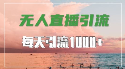 全平台无人直播引流法，轻松获取1000+高质量创业粉-无双副业