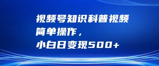 视频号知识科普视频操作指南，小白轻松日赚500+-无双副业