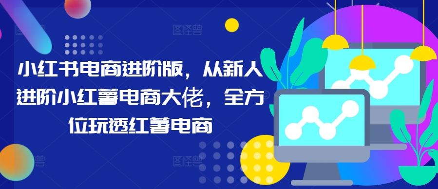 小红书电商运营全攻略：从新手到高手的进阶指南-无双副业