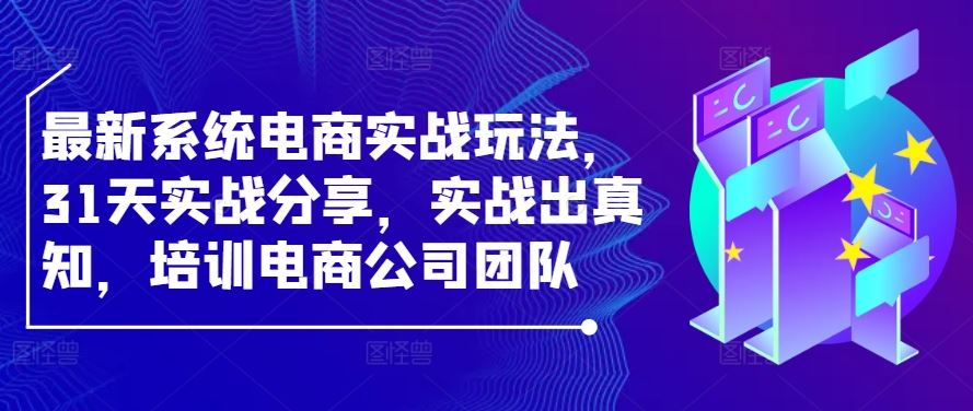 电商实战31天系统培训，打造高效电商团队与爆款策略-无双副业