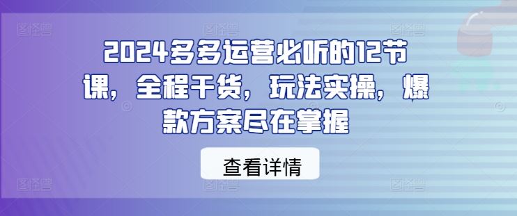 2024拼多多运营12节实战课程，掌握爆款方案与玩法-无双副业