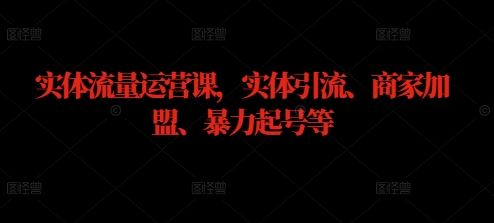实体流量运营全攻略：引流、加盟与快速起号技巧-无双副业