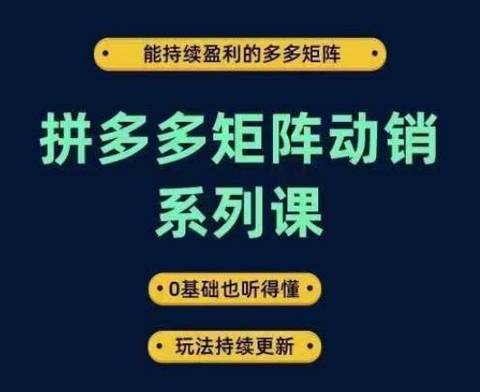 拼多多矩阵动销系列课：持续盈利的多多矩阵玩法-无双副业