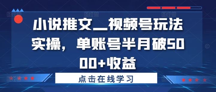 视频号小说推文实操，半月收益突破5000元-无双副业