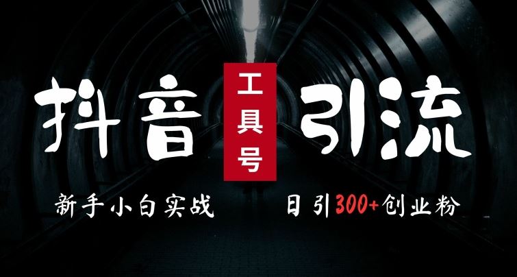 抖音工具号高效引流创业粉，小白也能当天变现5k-无双副业