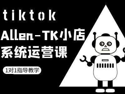 TK小店系统运营与跨境电商实战教程-无双副业